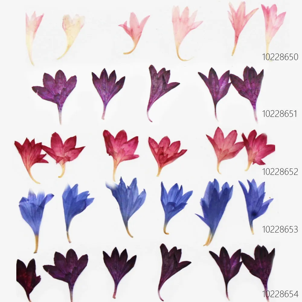1-2.5CM Centaury Pressed Flower Crafts Real Flowers Dried flower Handmade pendant materials 12pcs