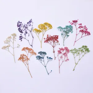 1 Pack Natural Dried Flowers Baby's Breath Craft DIY Jewelry Making Mixd color