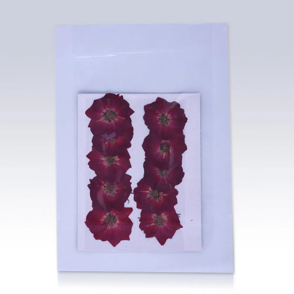 10pcs Dried Real Pressed Flower Stickers dyed rose pressed flower for phone case,paper goods