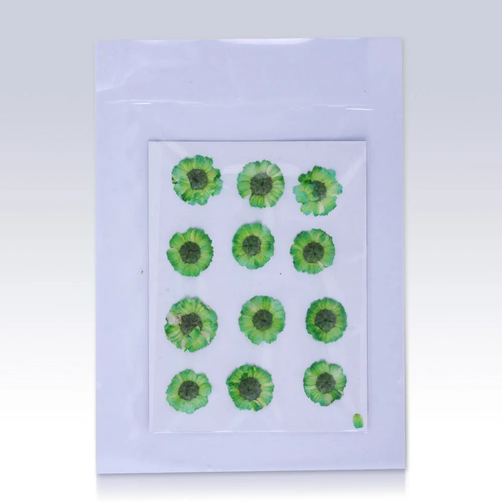 12pcs Dried Real Pressed Flower Stickers dyed pressed flower art  Nature jewelry