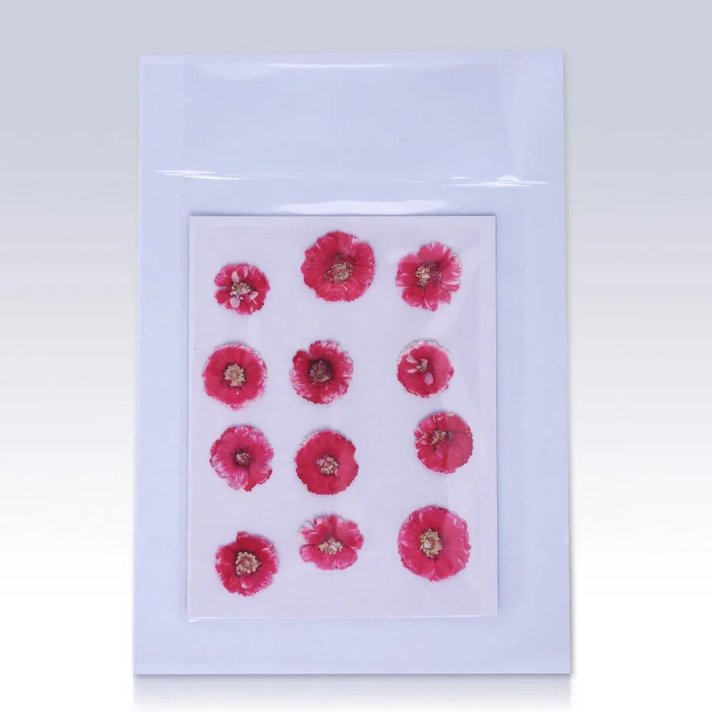 12pcs Dried Real Pressed Flower Stickers dyed pressed flower art  Nature jewelry
