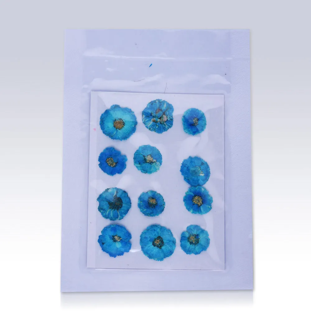 12pcs Dried Real Pressed Flower Stickers dyed pressed flower art  Nature jewelry
