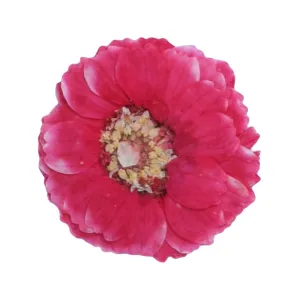 12pcs Dried Real Pressed Flower Stickers dyed pressed flower art  Nature jewelry