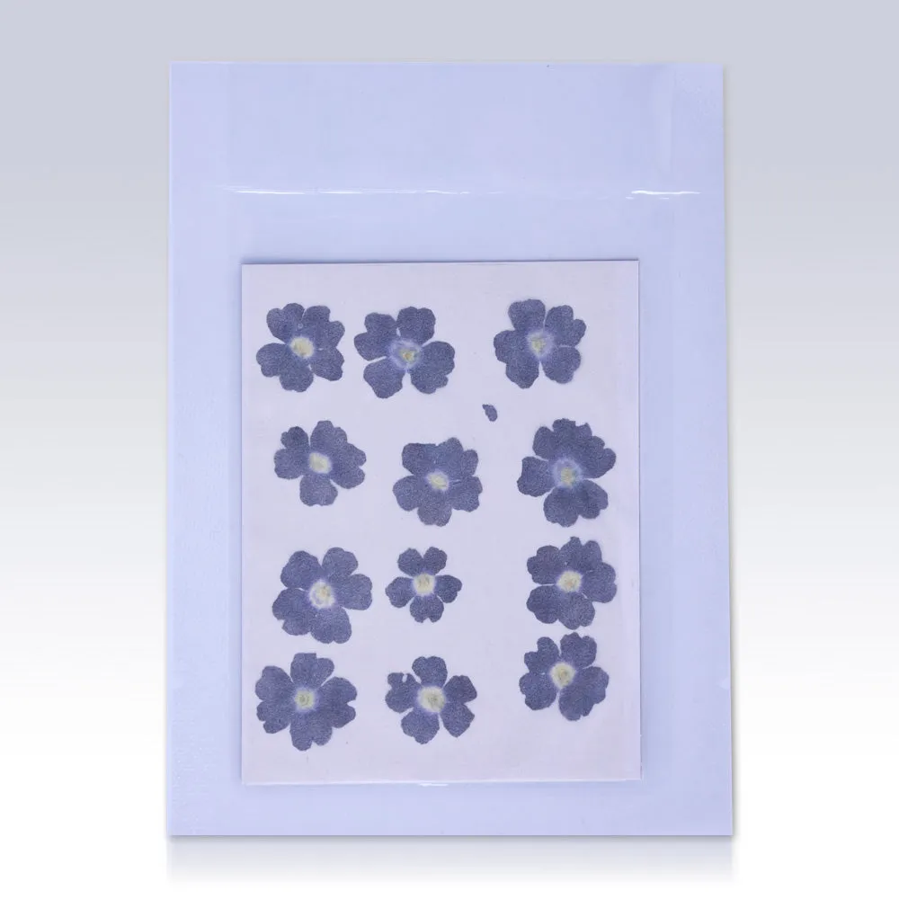12pcs Dried Real Pressed Flower Stickers dyed pressed flower art  Nature jewelry