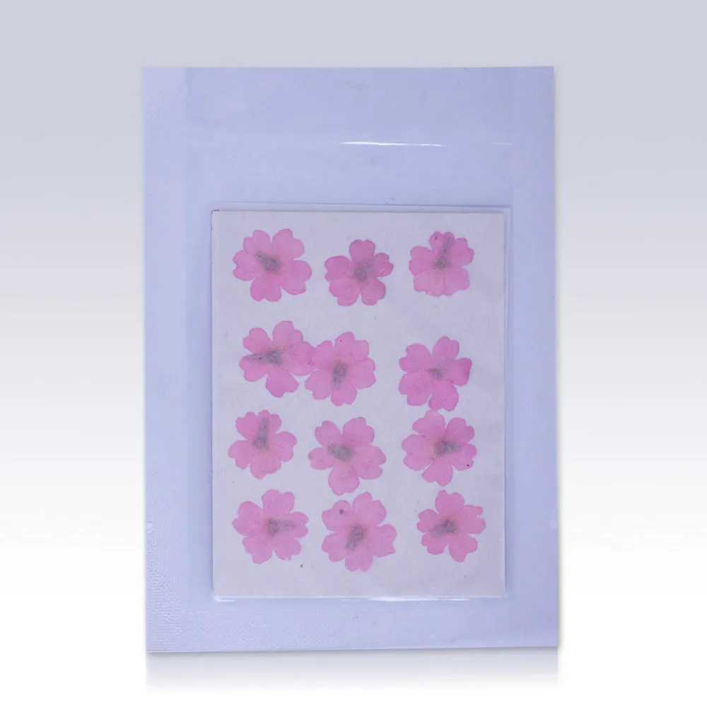 12pcs Dried Real Pressed Flower Stickers dyed pressed flower art  Nature jewelry