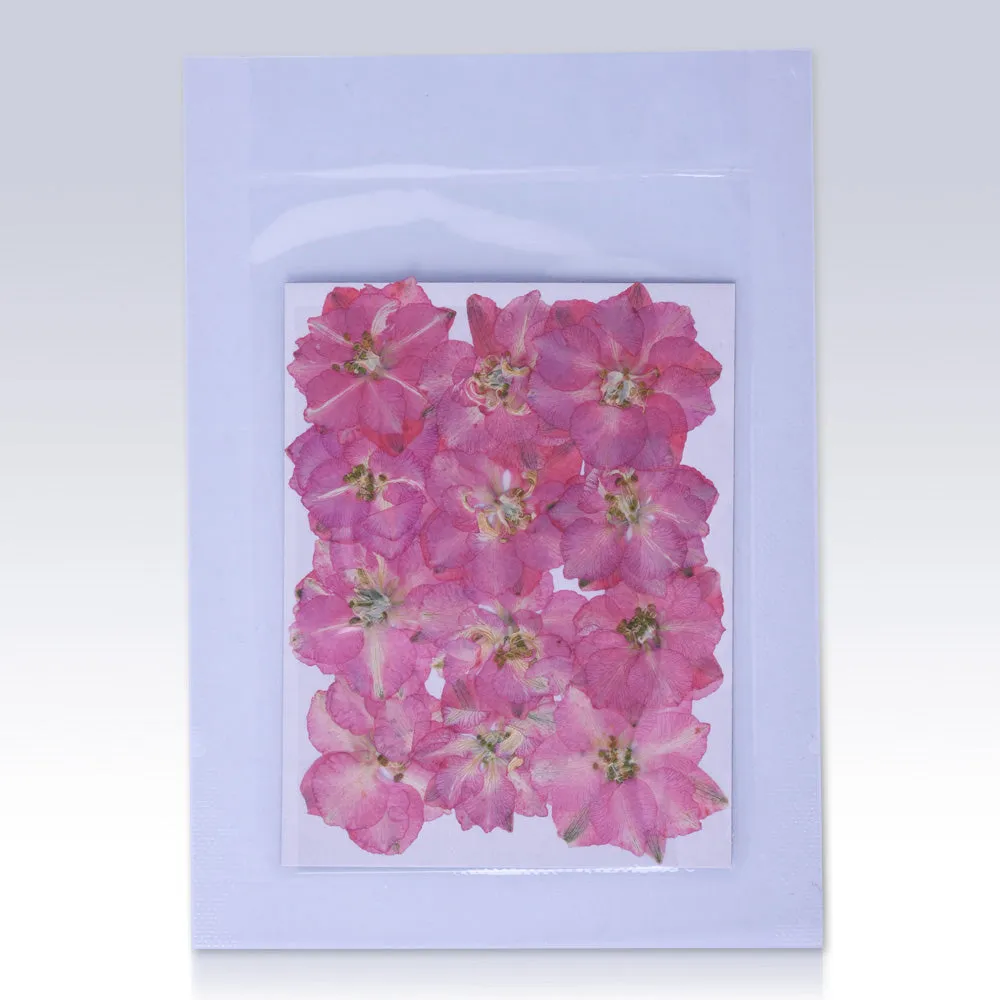 12pcs Dried Real Pressed Flower Stickers dyed pressed flower for phone case