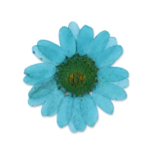 12pcs Dried Real Pressed Flower Stickers dyed pressed flower for phone case