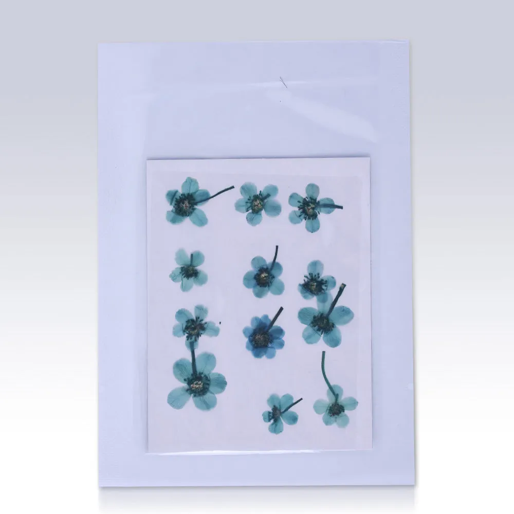 12pcs Dried Real Pressed Flower Stickers dyed pressed flower for phone case