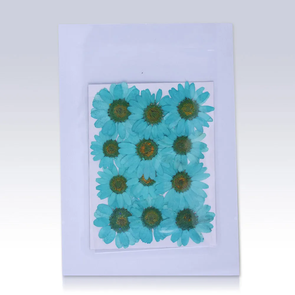 12pcs Dried Real Pressed Flower Stickers dyed pressed flower for phone case