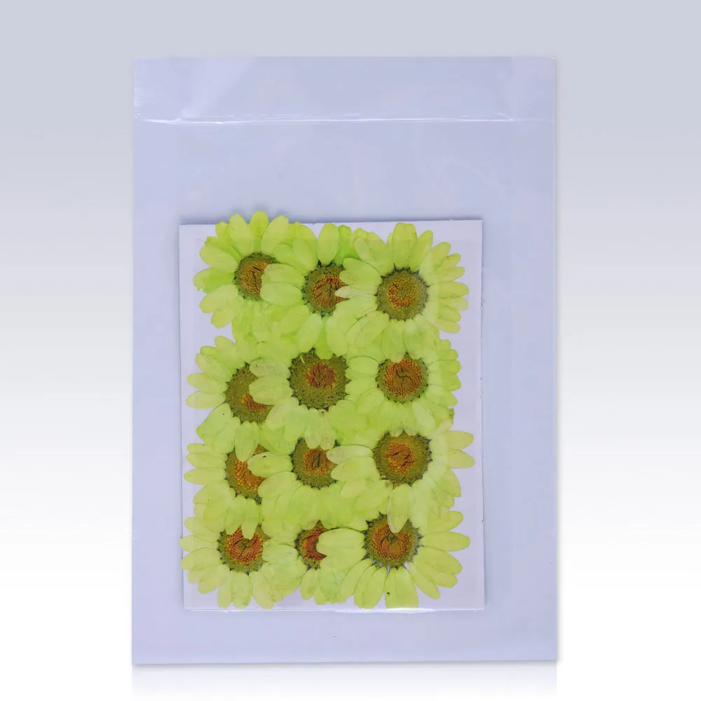 12pcs Dried Real Pressed Flower Stickers dyed pressed flower for phone case