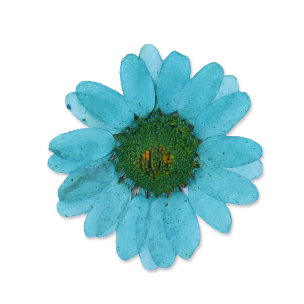 12pcs Dried Real Pressed Flower Stickers dyed pressed flower for phone case