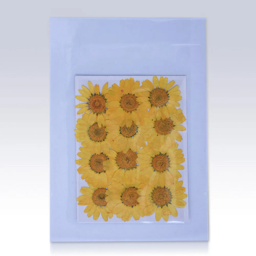 12pcs Dried Real Pressed Flower Stickers dyed pressed flower for phone case