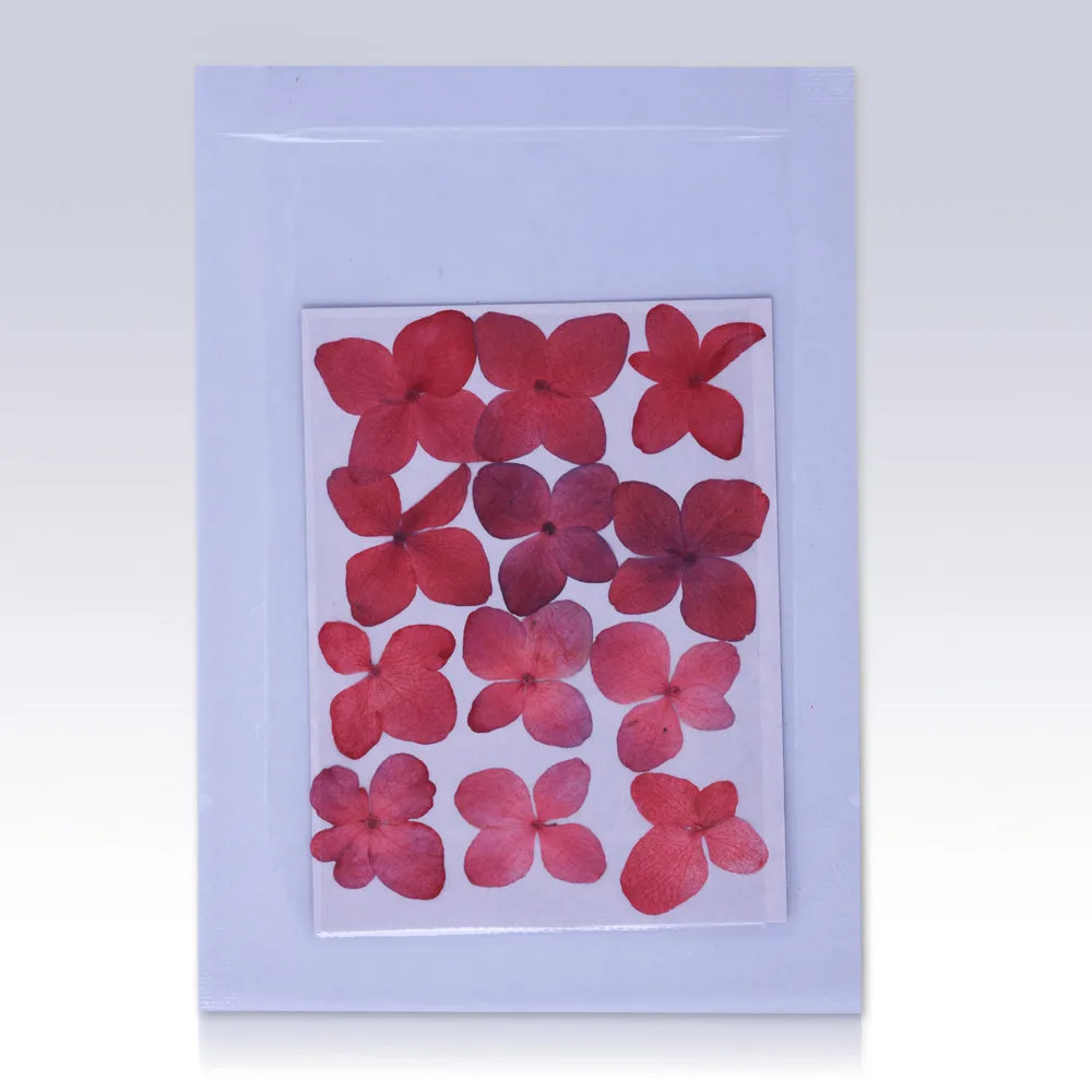 12pcs Dried Real Pressed Flower Stickers dyed pressed flower for phone case,paper goods