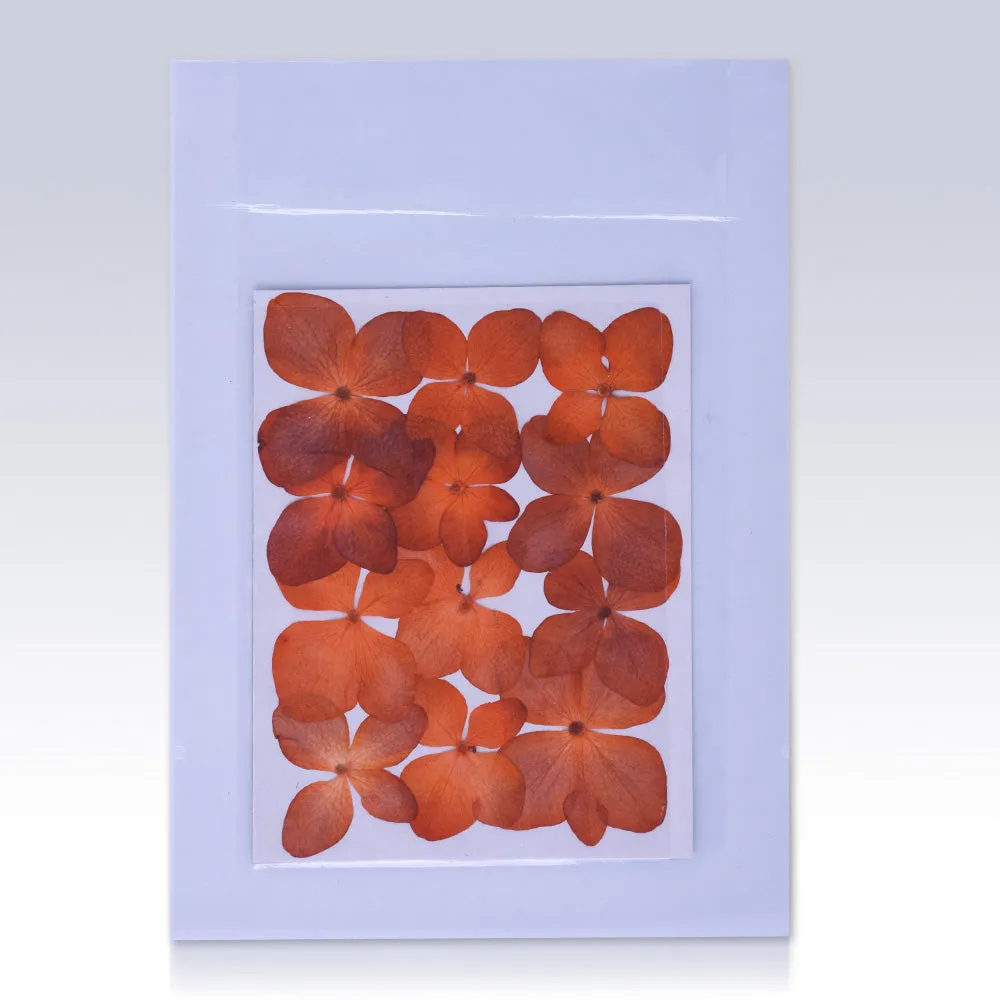 12pcs Dried Real Pressed Flower Stickers dyed pressed flower for phone case,paper goods