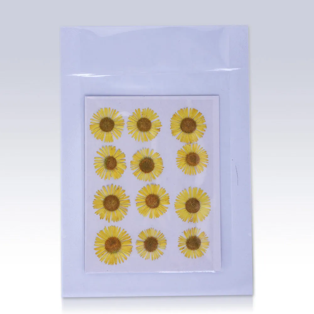 12pcs Dried Real Pressed Flower Stickers dyed pressed flower for phone case,paper goods