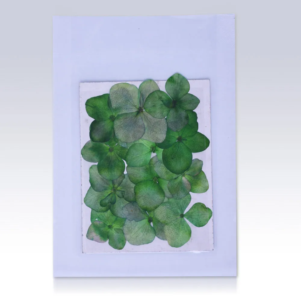 12pcs Dried Real Pressed Flower Stickers dyed pressed flower for phone case,paper goods