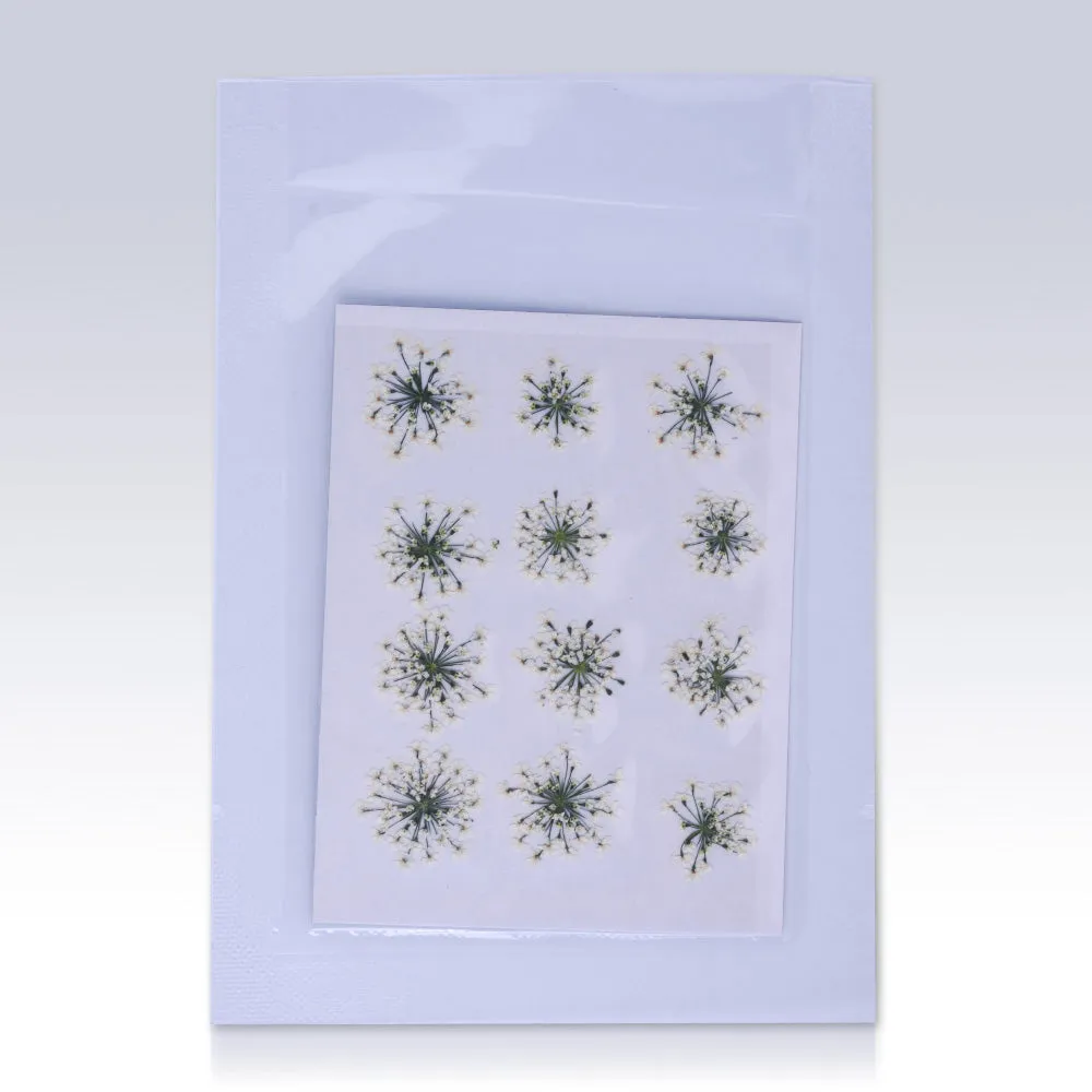 12pcs Real Pressed Flowers dried pressed  flower for Crafting Real Botanical Jewelry