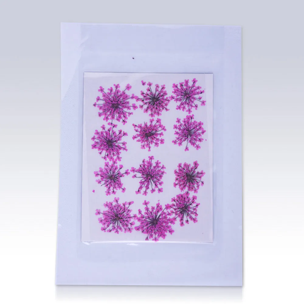 12pcs Real Pressed Flowers dried pressed  flower for Crafting Real Botanical Jewelry