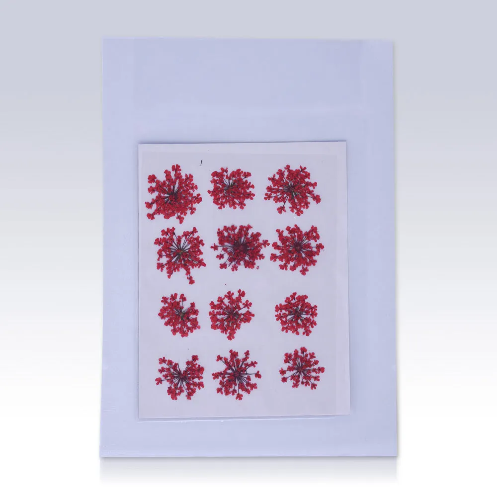 12pcs Real Pressed Flowers dried pressed  flower for Crafting Real Botanical Jewelry