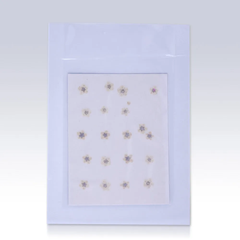 20pcs Dried Real Pressed Flower Stickers dyed pressed flower for phone case