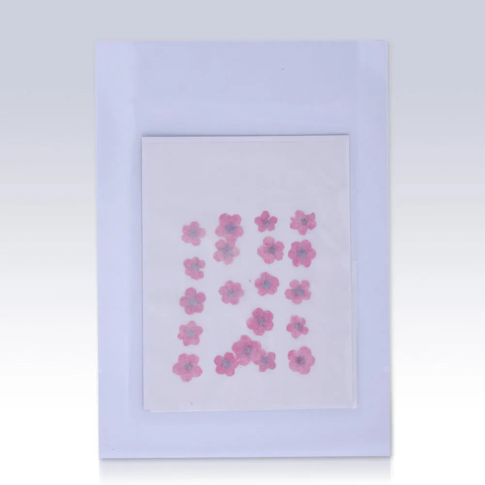 20pcs Dried Real Pressed Flower Stickers dyed pressed flower for phone case