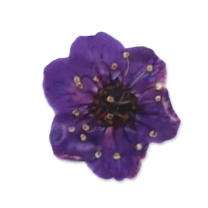 20pcs Dried Real Pressed Flower Stickers dyed pressed flower for phone case