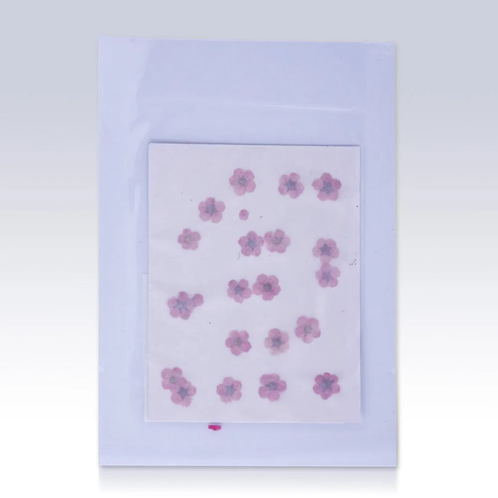 20pcs Dried Real Pressed Flower Stickers dyed pressed flower for phone case