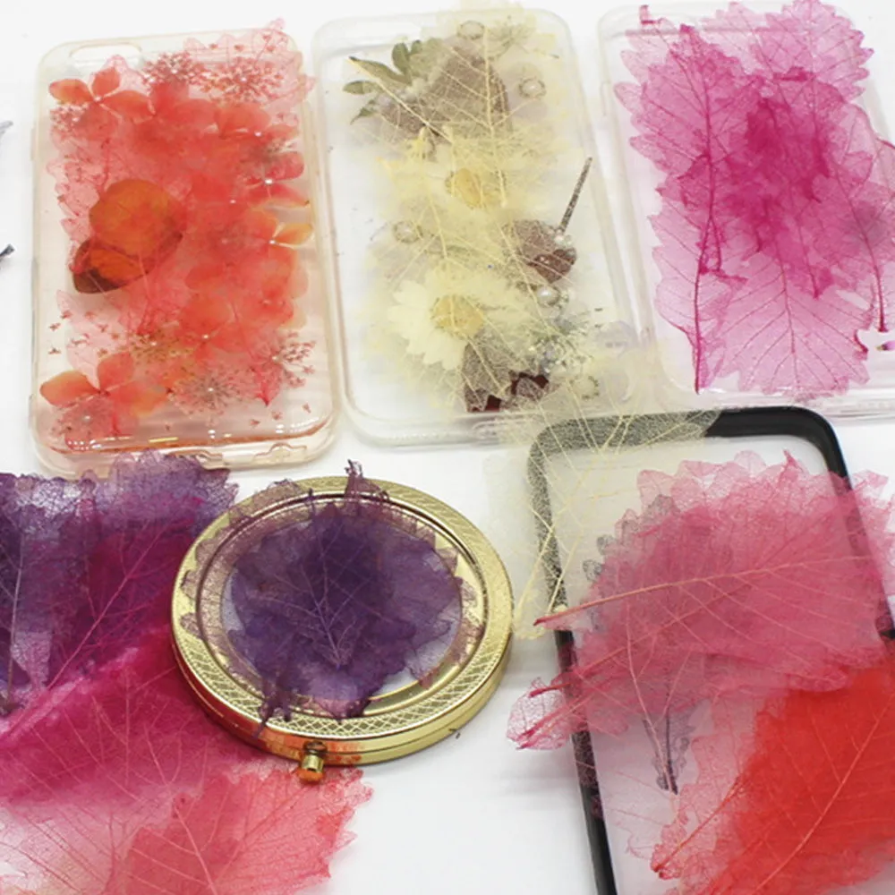 3-7cm Quercus dentata thunb Real dry pressed flower diy Earrings phone case 6pcs 102290