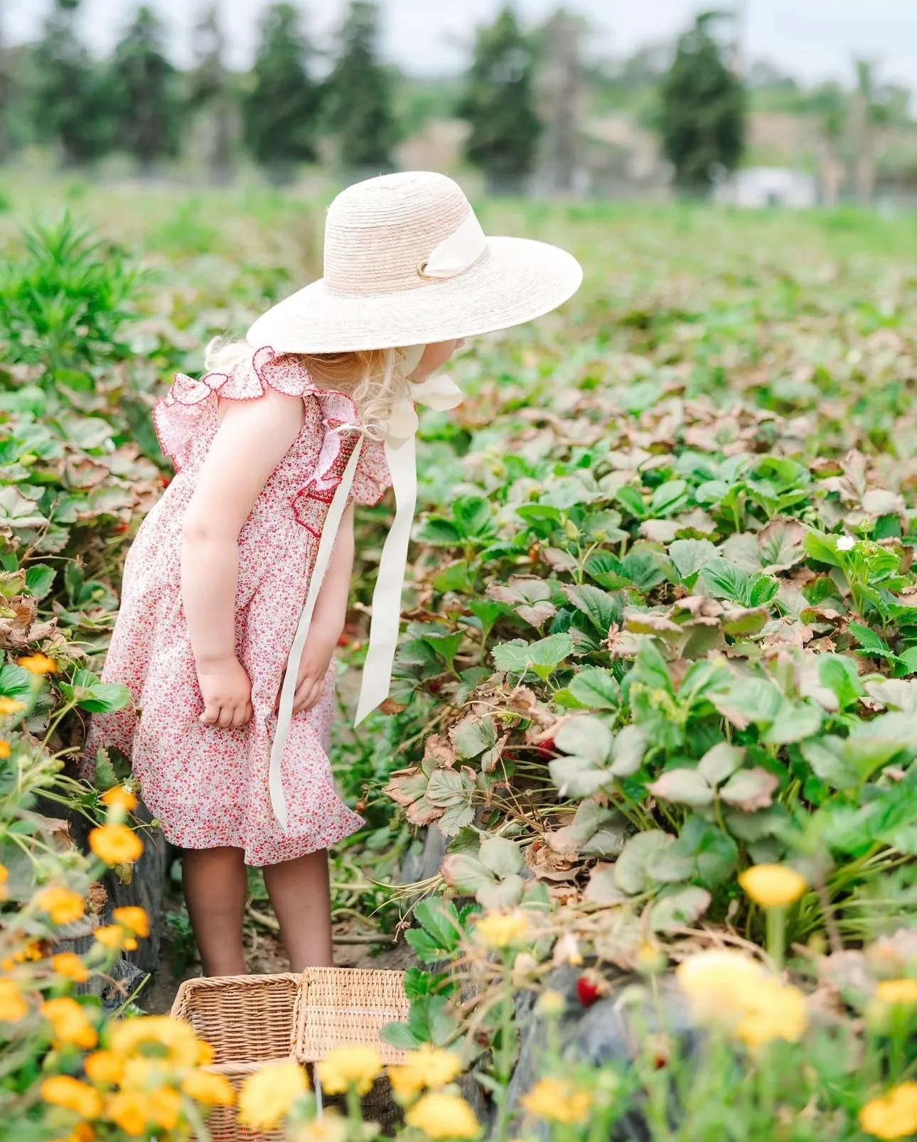 Buttercup Little Girl’s Hat - Vintage Sweet Pea Bouquet Ribbon