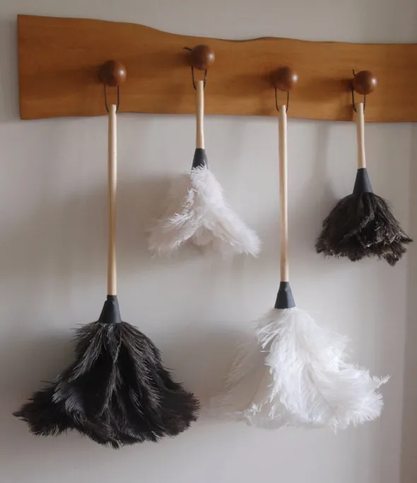 Cream Feather Duster
