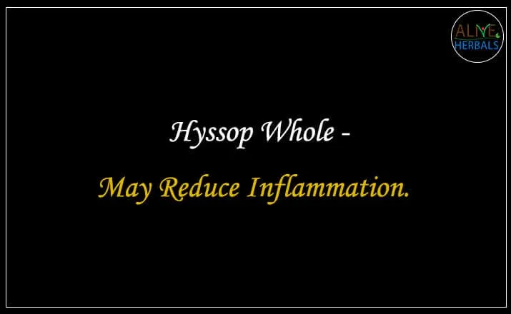 Dried Hyssop