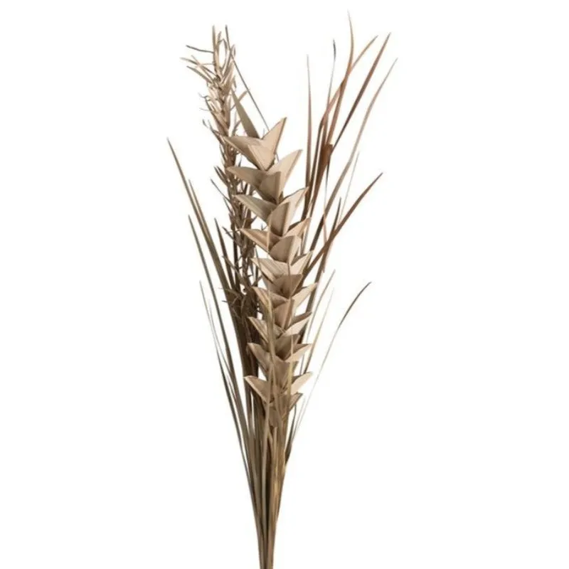 Dried Natural Bunch (5 pc)