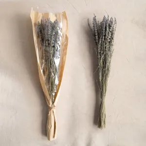 Dried Natural Lavender Bunch