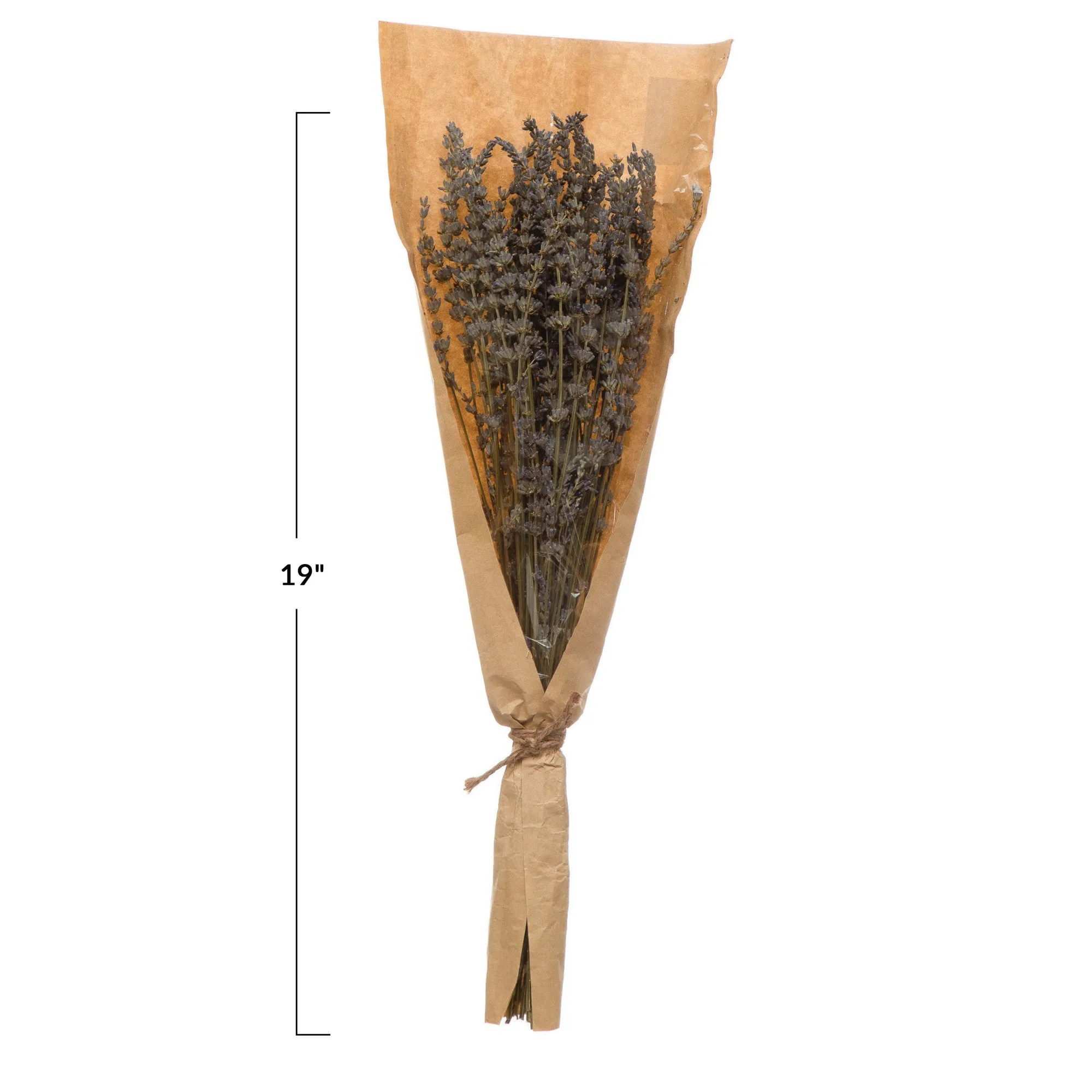 Dried Natural Lavender Bunch