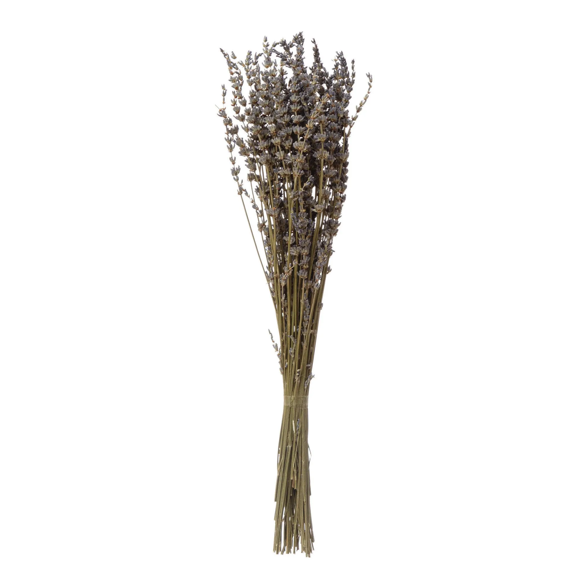Dried Natural Lavender Bunch