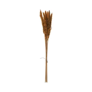 DRIED NATURAL PAMPAS GRASS BUNCH