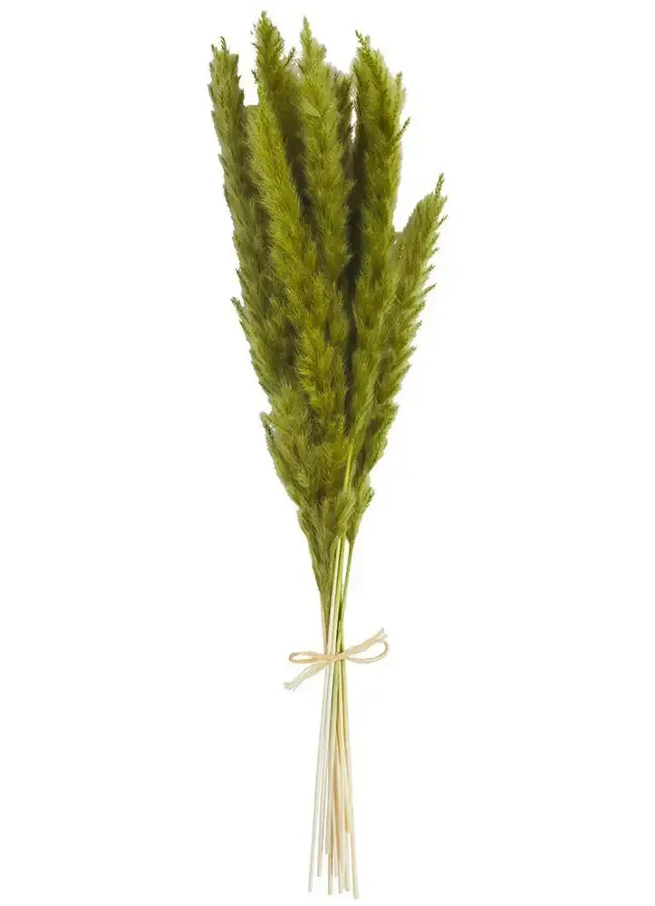 DRIED PAMPAS GRASS DECOR
