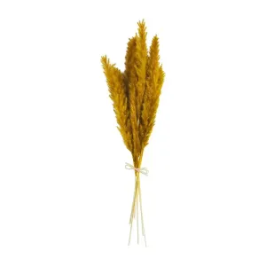 DRIED PAMPAS GRASS DECOR