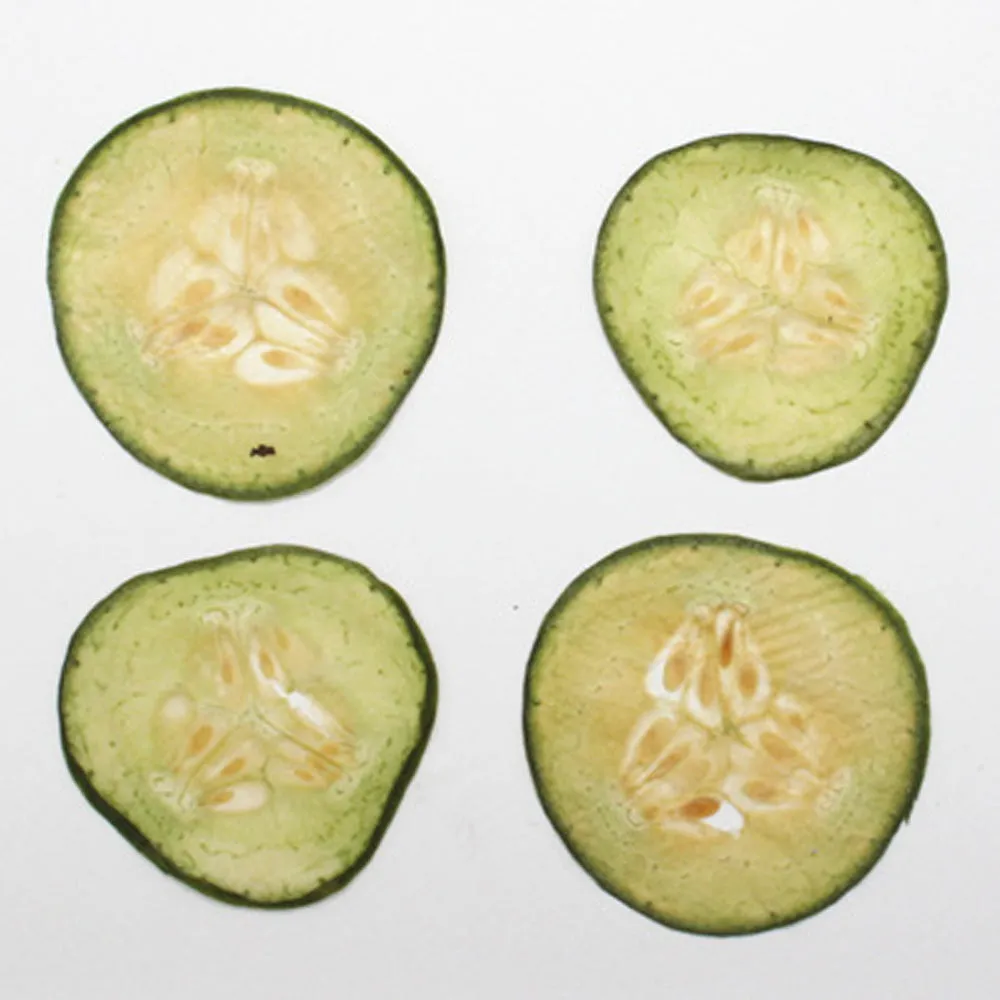 Dried vegetables Slices Real Nature specimen diy phone case Jewelry supplies 1pcs 102279