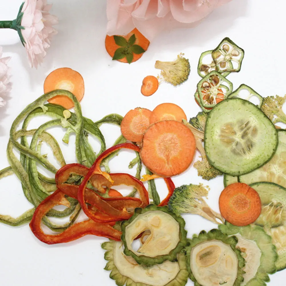 Dried vegetables Slices Real Nature specimen diy phone case Jewelry supplies 1pcs 102279