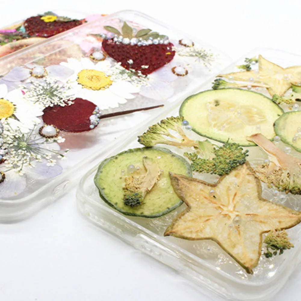 Dried vegetables Slices Real Nature specimen diy phone case Jewelry supplies 1pcs 102279
