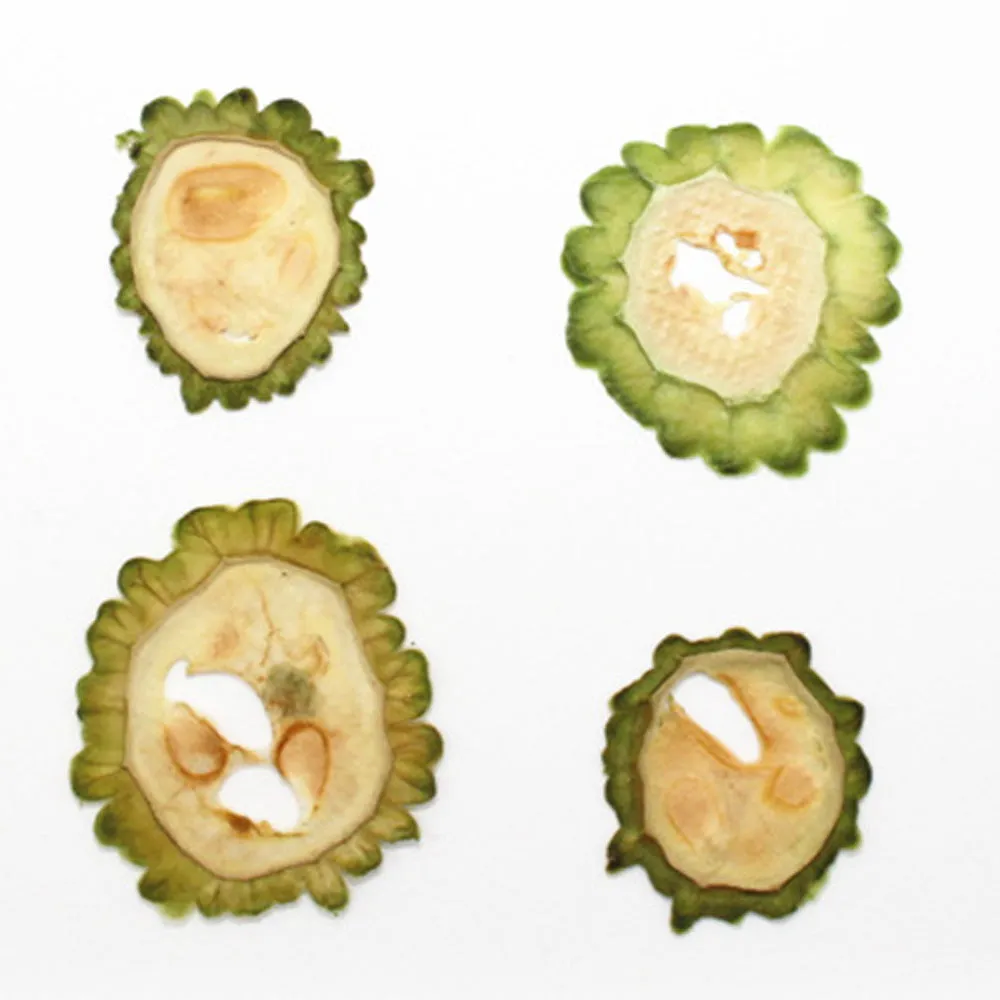 Dried vegetables Slices Real Nature specimen diy phone case Jewelry supplies 1pcs 102279