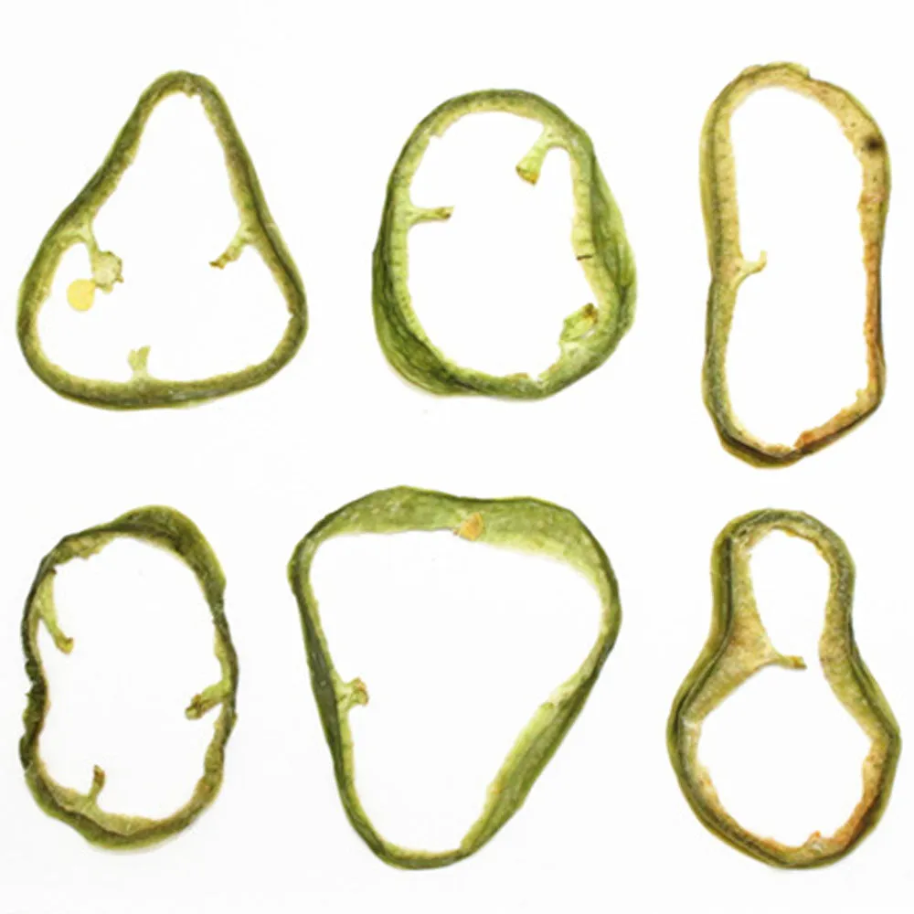 Dried vegetables Slices Real Nature specimen diy phone case Jewelry supplies 1pcs 102279