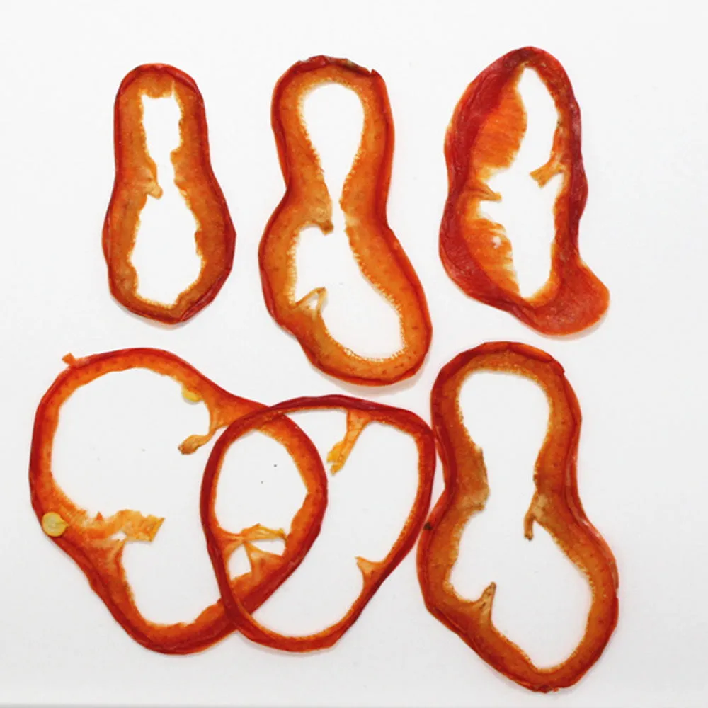 Dried vegetables Slices Real Nature specimen diy phone case Jewelry supplies 1pcs 102279