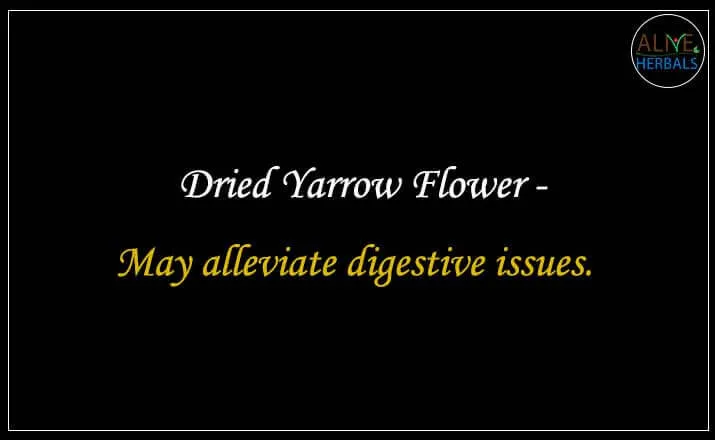 Dried Yarrow Flower