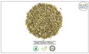 Dried Yarrow Flower