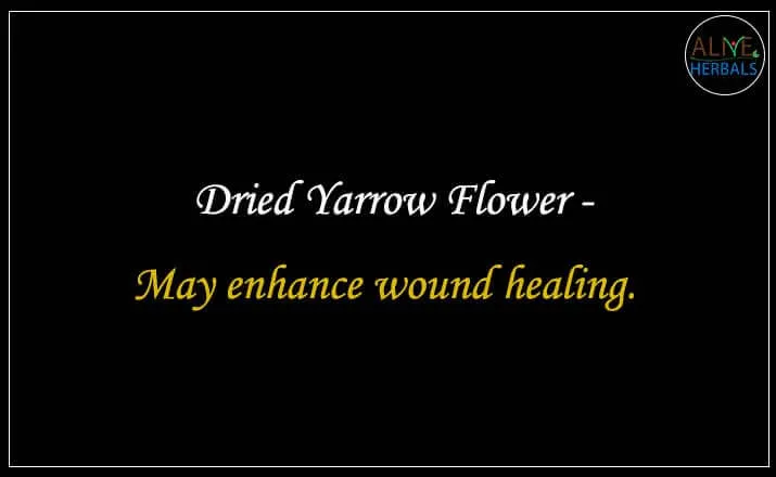 Dried Yarrow Flower