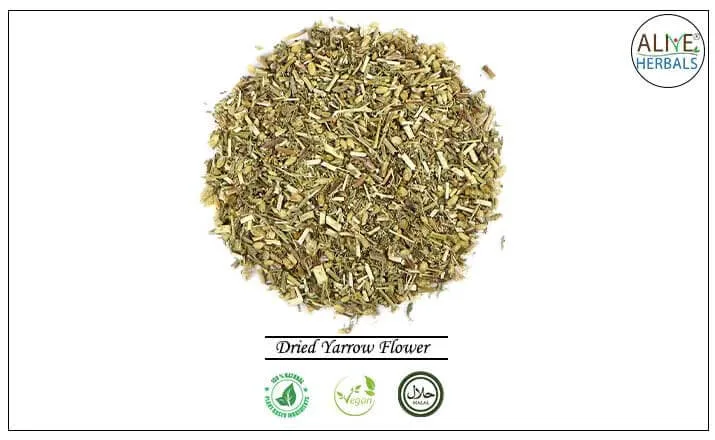 Dried Yarrow Flower