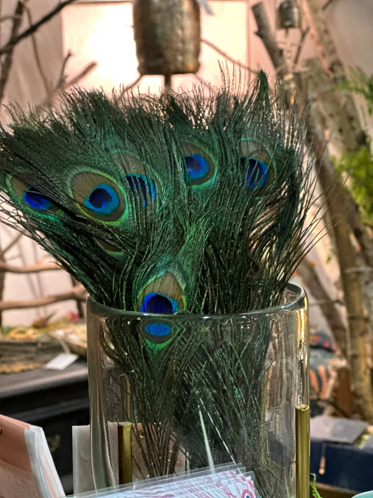 Genuine Premium Peacock Feather, Cruelty-Free