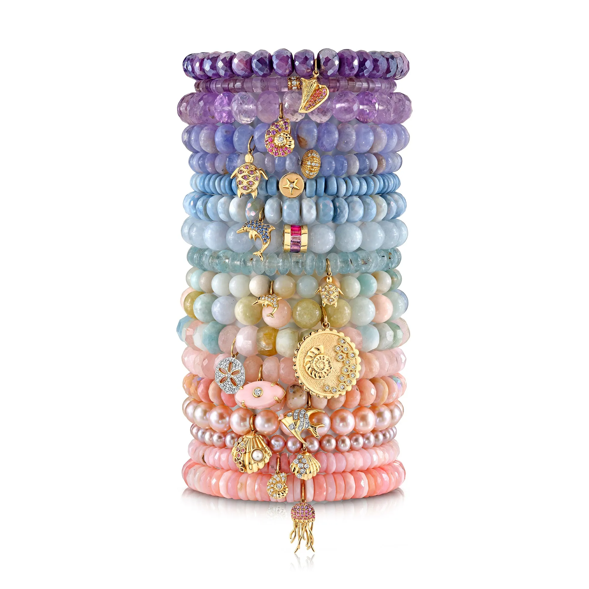 Gold & Sapphire Nautilus Shell on Amethyst